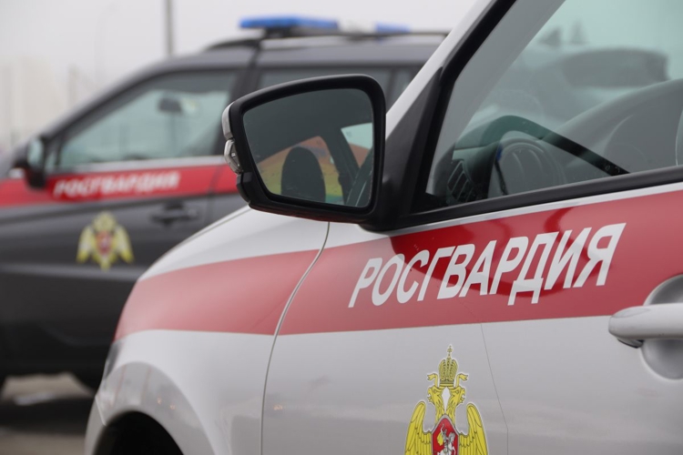 В Безенчуке патруль Росгвардии задержал хулигана, повредившего несколько автомобилей