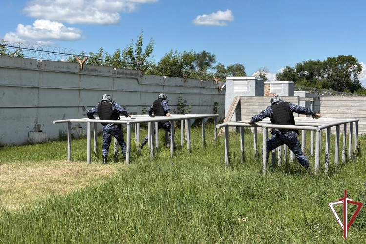 Лучшую группу задержания вневедомственной охраны Росгвардии определили в Самарской области