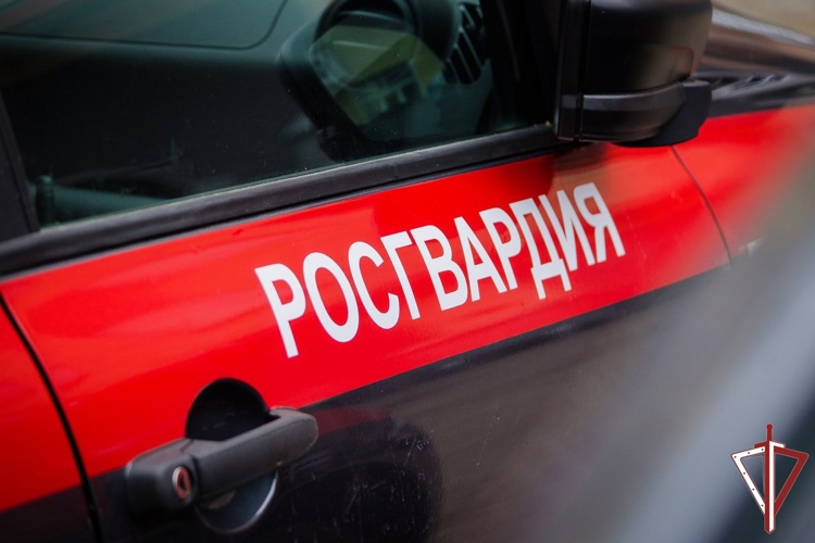 В Самарской области росгвардейцы задержали подозреваемого в краже