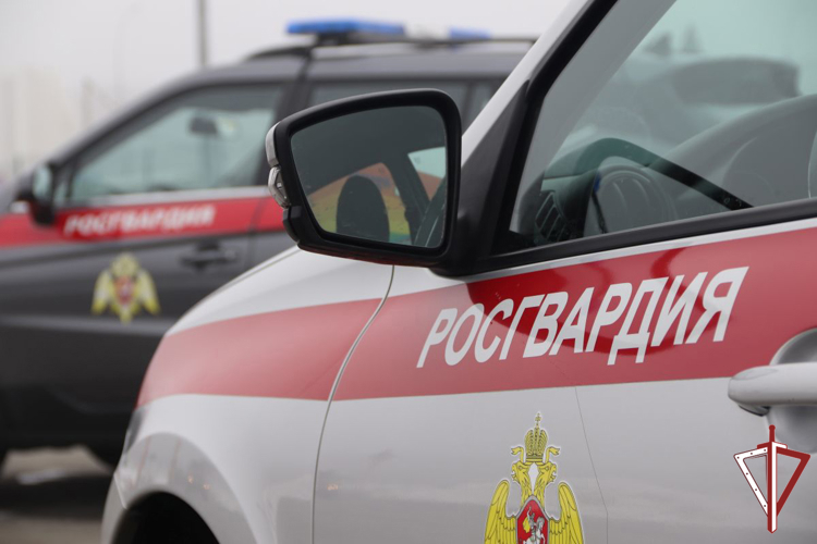 В Самарской области росгвардейцы обезвредили мужчину, подозреваемого в тяжком преступлении