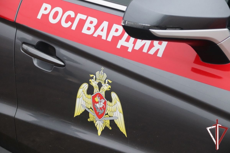Общественную безопасность во время концерта известной рок-группы обеспечили росгвардейцы в Тольятти
